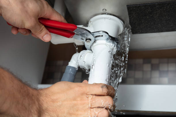 Best Professional water damage repair  in Wickes, AR