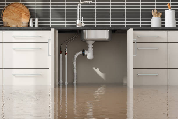 Best Local water damage restoration  in Wickes, AR