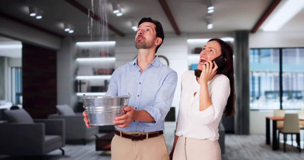 Best Sewage cleanup and water damage restoration  in Wickes, AR